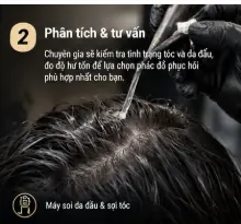phuc-hoi-toc-chuyen-nghiep