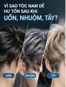 phục hồi tóc hư tổn cho nam
