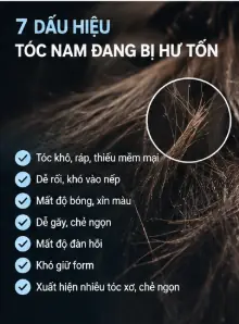 phục hồi tóc hư tổn cho nam