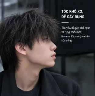 Tóc chẻ ngọn xơ rối và hư tổn ở nam giới