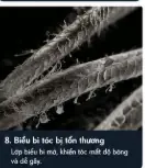 toc-hu-ton-dau-hieu-nhan-biet