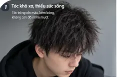 toc-kho-xo-nam