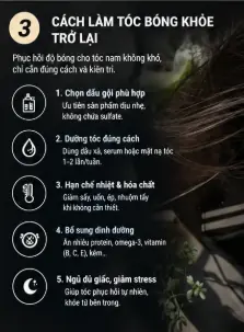 tóc nam khô xơ chẻ ngọn
