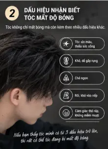 Tóc nam mất độ bóng thường liên quan đến thiếu ẩm, nhiệt, tạo kiểu và chăm sóc chưa đúng cách. Khám phá 7 nguyên nhân và cách dưỡng tóc bóng khỏe, mềm mượt hơn.